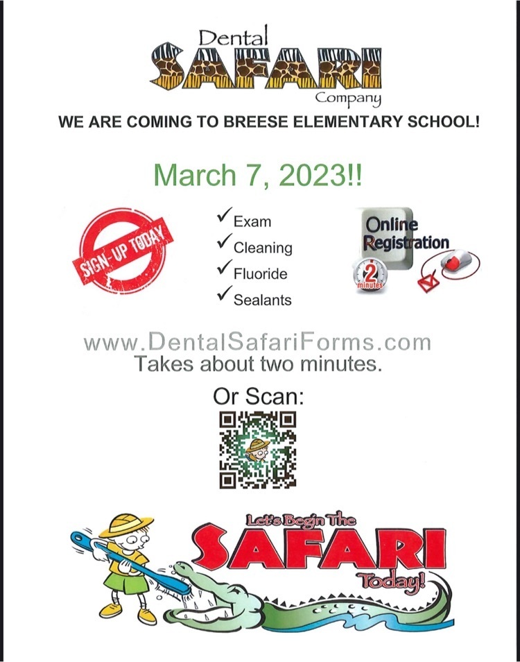 dental safari - Breese 
